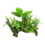 Blue Belle Pacific Aquascape 2 - 20X19x9 cm