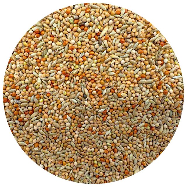 Bello Undulatblandning - 5 kg