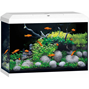 Juwel Primo 70 liter LED 2.0 - Vit