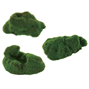 Kipouss Pebble Stone - Levande frön - 7,5-10 cm