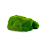 Kipouss Pebble Stone - Levande frön - 7,5-10 cm