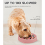 Fun Feeder Slo Bowl - Rosa - XS - Ø14x3cm - 180 ml