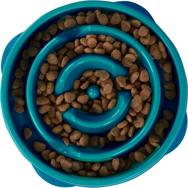 Fun Feeder Slo Bowl - Turkos - M - Ø20,5x5cm - 500 ml