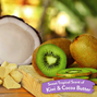Tropiclean Kiwi & Cocoa Butter Conditioner - 355 ml