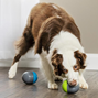 PetSafe Ricochet - Elektronisk Hundleksak