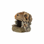 Ozami Dekoration Fossilgrotta - 7x7x7,2 cm