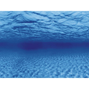 Aqua Nova Akvariebakgrund - Root/water - XL - 150x60 cm
