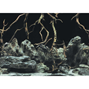 Aqua Nova Akvariebakgrund - Root/water - XL - 150x60 cm