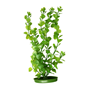 Marina Plastväxt - Moneywort - 30 cm