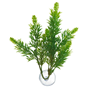 Zoo Med Salvia Plant - Plastväxt med sugkopp