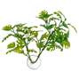 Zoo Med Window Leaf Plant - Plastväxt med sugkopp