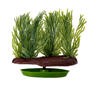 Plastväxt - Willow Moss - 5 cm
