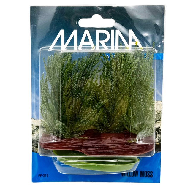 Plastväxt - Willow Moss - 5 cm
