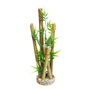 Plastväxt Zen Aqua Bamboo - 26 cm