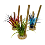 Plastväxt Bamboo Forest - Färgmix - 20 cm