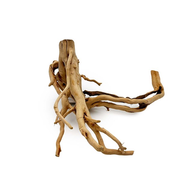 Redmoor rot - M - 30-43 cm