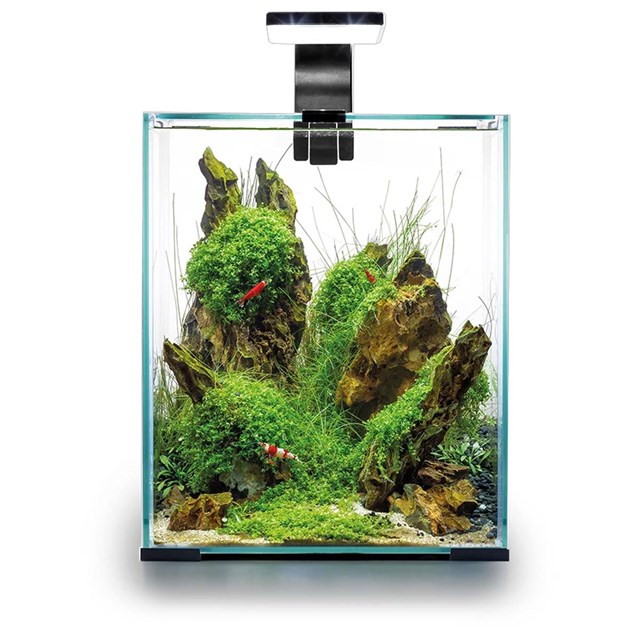 Aquael Shrimp Set 20 Day & Night - 19 liter - Svart