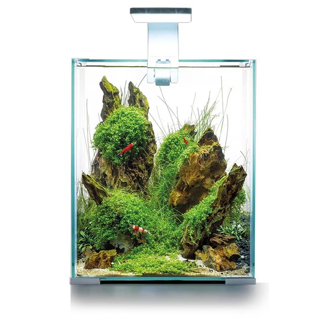 Aquael Shrimp Set 20 Day & Night - 19 liter - Vit