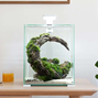 Aquael Shrimp Set 20 Day & Night - 19 liter - Vit