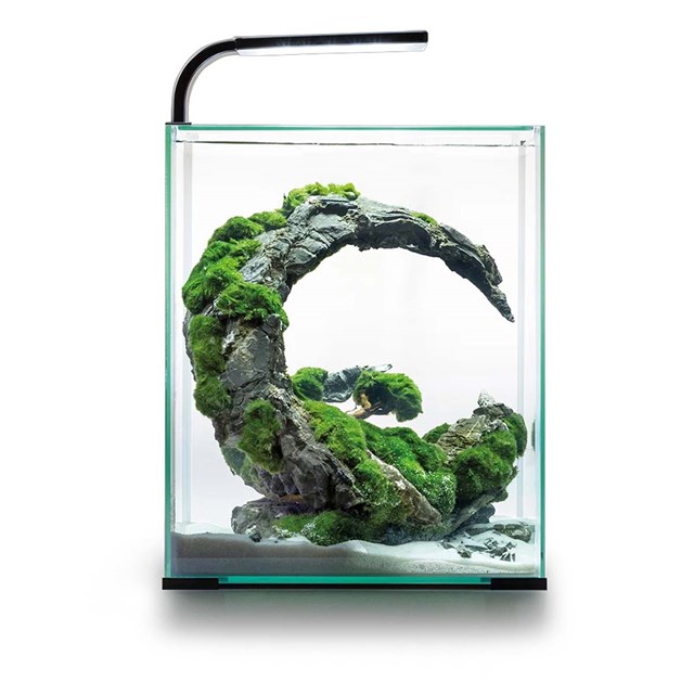 Aquael Shrimp Set 30 Day & Night - 30 liter - Svart