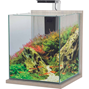 Nanoakvarium - Zebranoträ - 30x30x35 cm - 31 liter