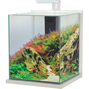 Nanoakvarium - Vitlaserad - 30x30x35 cm - 31 liter