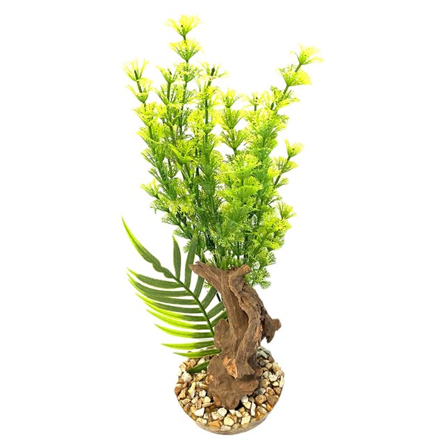 Plastväxt Aquazen Mangroverot - 28 cm