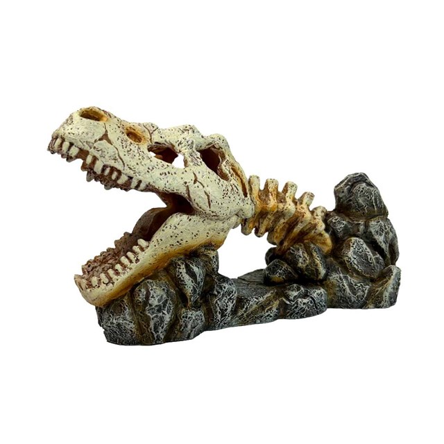 Akvariedekoration Dragon Skull - 19,8x8x11 cm
