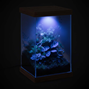 Aquael Selva Mini Växtterrarium - 20x20x30 cm