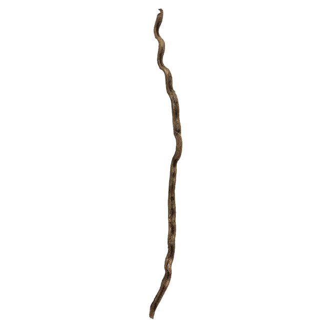 Naturlig lian - Ø2-3 cm - 90-100 cm