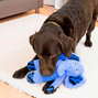 Kong Jungle Jamz Elephant - M/L - 32 cm