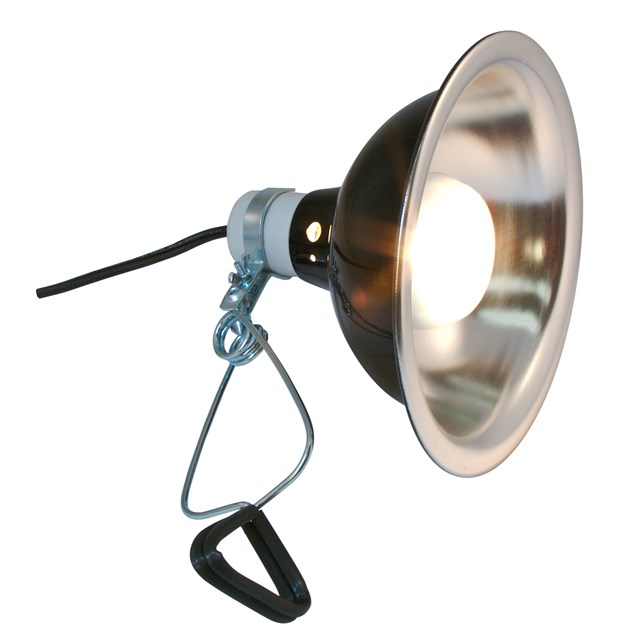 Zoo Med Deluxe Porcelain Brooder Lamp - Max 200 W - 25 cm