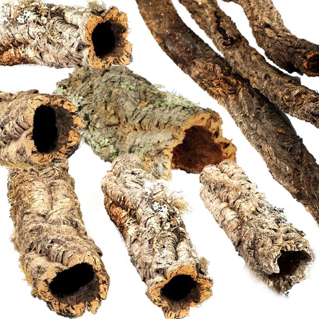 Korkbarksrör - Kilopris
