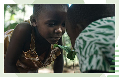 Skänk 20 kr till Vi-skogens hållbara projekt i Afrika!