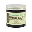 Living Naturally Fragrance Free Soapnut Salve, 60 g