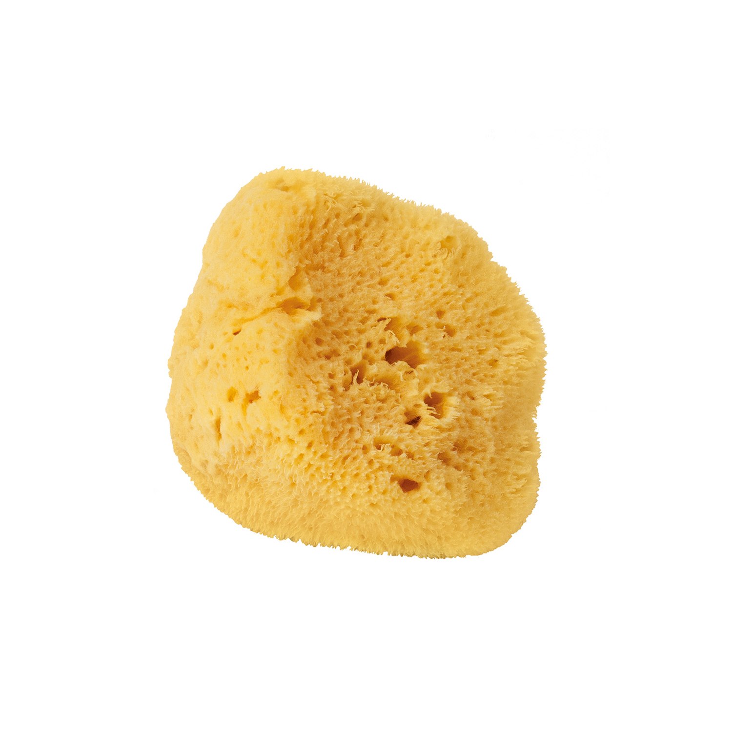 Croll & Denecke Natural Silk Sponge 5 cm