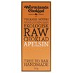 WermlandsChoklad Ekologisk Rawchoklad Apelsin 73%, 50 g