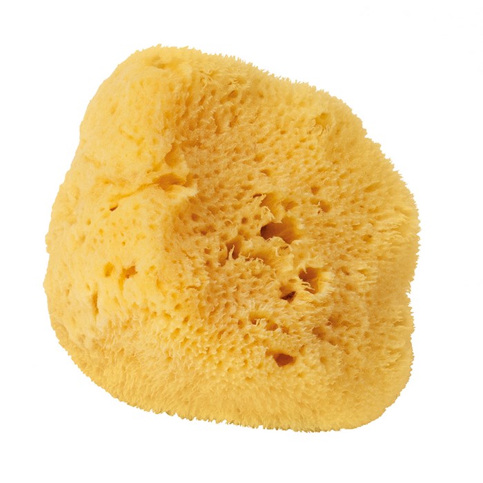 Croll & Denecke Natural Silk Sponge