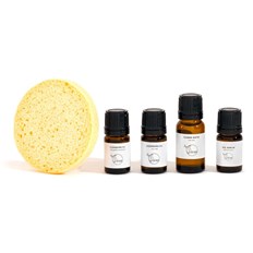 Organics by Sara Trial Pack Combination Skin