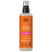 Urtekram Beauty Childrens Calendula Spray Conditioner, 250 ml