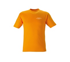 Siljendahls Måleri SW T-shirt Kings Orange