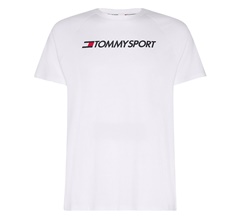 Tommy Hilfiger Raglan Sleeve Logo T-shirt Herr