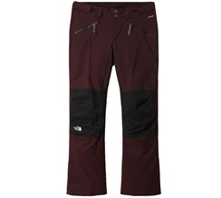 The North Face Aboutaday Ski Pant Dam