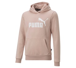 Puma Essentials Logo Youth Hoodie Junior