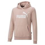 Puma Essentials Logo Youth Hoodie Junior
