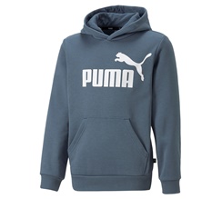 Puma Essentials Big Logo Youth Hoodie Junior
