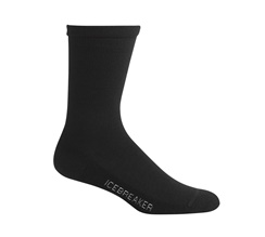 Icebreaker Lifestyle merino Sock Herr