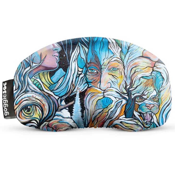 GoggleSoc Interconnection