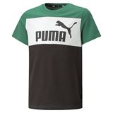 Puma Essentials+ Colour Blocked Tee Junior