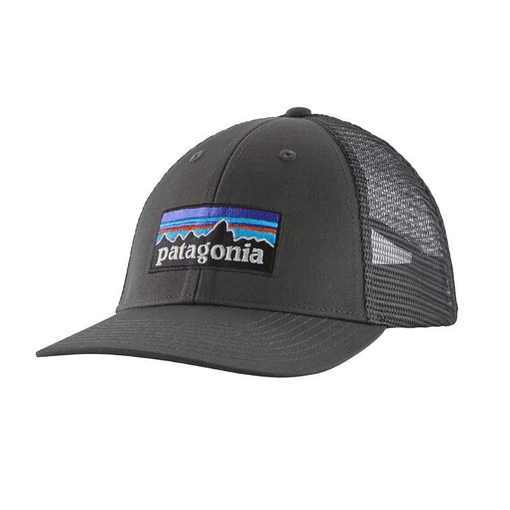 Patagonia P-6 Logo LoPro Trucker Hat